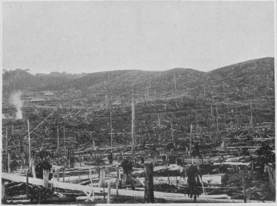 ayerkuning-estate-1908-01.png