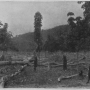 bukitcherakah-estate-1908-stage3.png