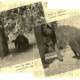 stannual19380101-1-2-122-gajah-02.png